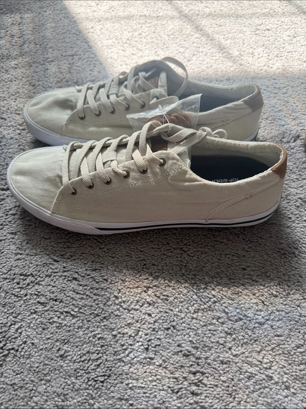Sperry Men's Canvas Lace-Up Sneakers in Cream